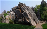 Stone Forest in Yunnan line (2) (Khitan wolf works) #11