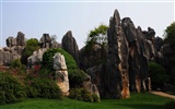 Stone Lesní v souladu Yunnan (2) (Khitan vlk práce) #49085