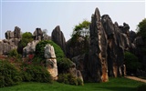 Stone Forest in Yunnan line (2) (Khitan wolf works) #13