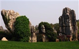 Stone Forest in Yunnan line (2) (Khitan wolf works) #14