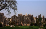 Stone Forest in Yunnan line (2) (Khitan wolf works) #19