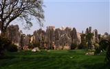 Stone Forest in Yunnan line (2) (Khitan wolf works) #20