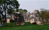 Stone Forest in Yunnan line (2) (Khitan wolf works) #25