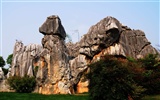 Stone Forest in Yunnan line (2) (Khitan wolf works) #26