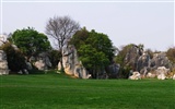 Stone Forest in Yunnan line (2) (Khitan wolf works) #34