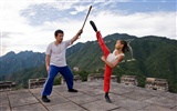 The Karate Kid HD wallpaper