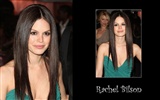 Rachel Bilson krásnou tapetu #12