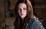 The Twilight Saga: Eclipse HD fond d'écran (1)