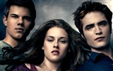 The Twilight Saga: Eclipse HD fond d'écran (1) #15