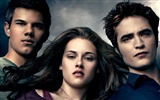 The Twilight Saga: Eclipse 暮光之城 3: 月食(一)15