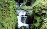 Waterfall streams wallpaper (1) #5