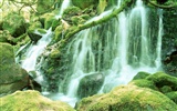 Waterfall-Streams Wallpaper (1) #6