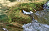 Waterfall streams wallpaper (1) #7