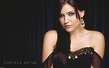 Sophia Bush hermoso fondo de pantalla #2