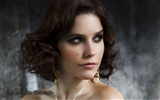 Sophia Bush krásnou tapetu #15