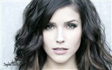 Sophia Bush hermoso fondo de pantalla #17