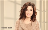 Sophia Bush schöne Tapete #19