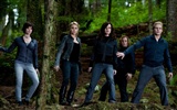 The Twilight Saga: Eclipse HD wallpaper (2) #2