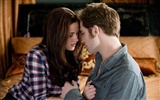 The Twilight Saga: Eclipse 暮光之城3: 月食(二) #51003