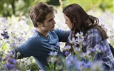 The Twilight Saga: Eclipse 暮光之城 3: 月食(二)10