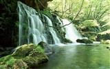 Cascada arroyos fondo de pantalla (2)