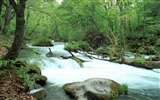 Waterfall streams wallpaper (2) #4