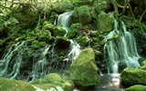 Waterfall streams wallpaper (2) #7