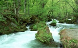 Waterfall streams wallpaper (2) #13