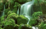 Waterfall streams wallpaper (2) #14