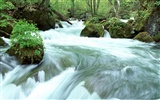 Waterfall streams wallpaper (2) #17