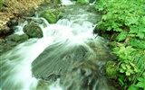 Waterfall streams wallpaper (2) #20