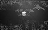 album Apple wallpaper thème (13) #16