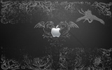 Apple theme wallpaper album (13) #16