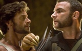 X-Men Origins: Wolverine HD Wallpaper #12