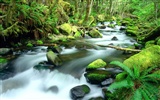 Waterfall streams wallpaper (3)