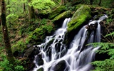 Waterfall streams wallpaper (3) #3