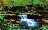 Waterfall streams wallpaper (3) #4