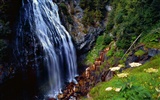 Waterfall-Streams Wallpaper (3) #8