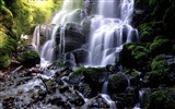 Waterfall streams wallpaper (3) #12