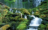 Waterfall-Streams Wallpaper (3) #13