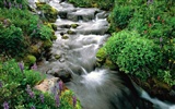 Waterfall streams wallpaper (3) #14