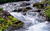 Waterfall-Streams Wallpaper (3) #18