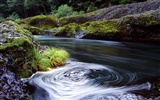 Waterfall streams wallpaper (3) #19