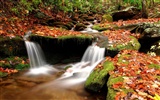 Waterfall streams wallpaper (3) #20