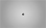 Apple theme wallpaper album (15) #15