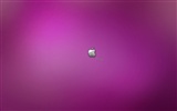 Apple主題壁紙專輯(16) #10