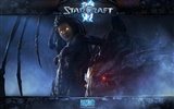 StarCraft 2 HD papel tapiz #10