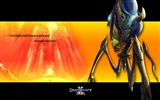 StarCraft 2 HD wallpaper #12