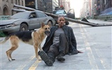 I Am Legend HD обои #2