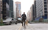 I Am Legend 我是传奇 高清壁纸3